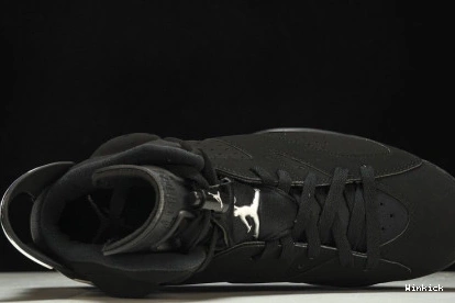 Silver” “Metallic DX2836-001 Jordan Air 6 0723